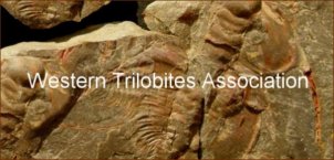 Western Trilobites Association