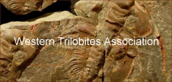 WESTERN TRILOBITES ASSOCIATION